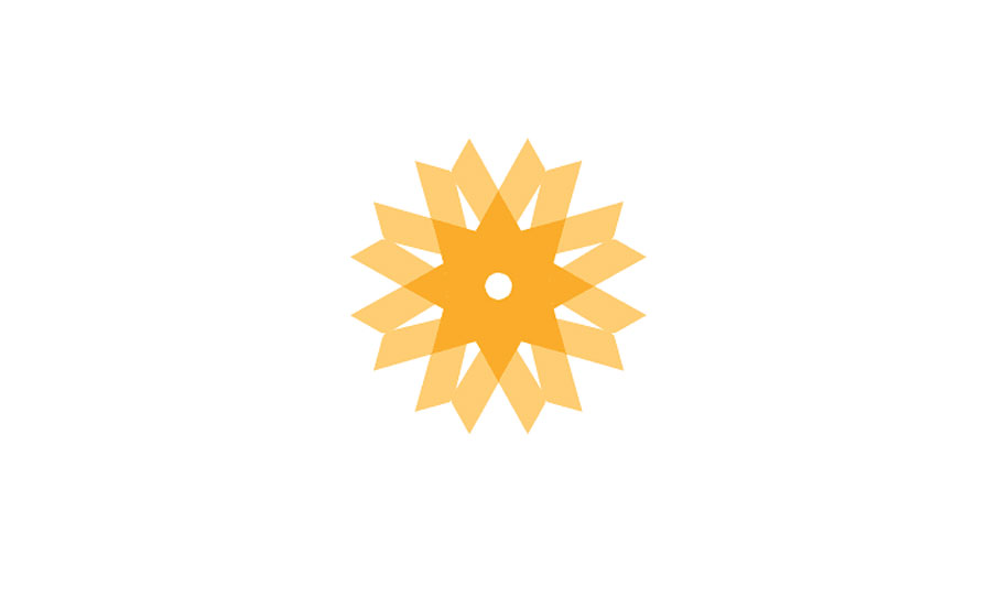 Portolio Image