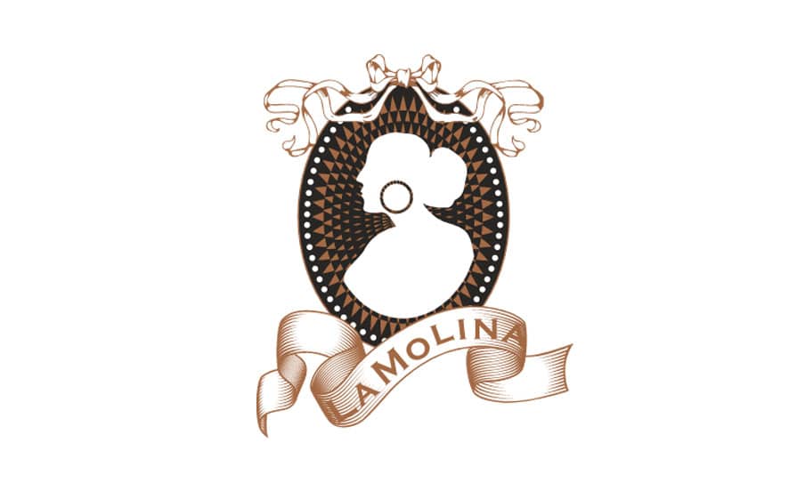 Portolio Image